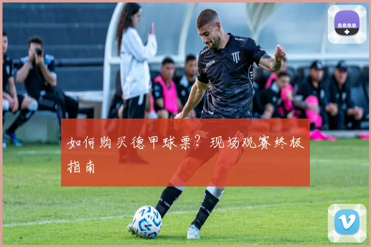 如何购买德甲球票？现场观赛终极指南