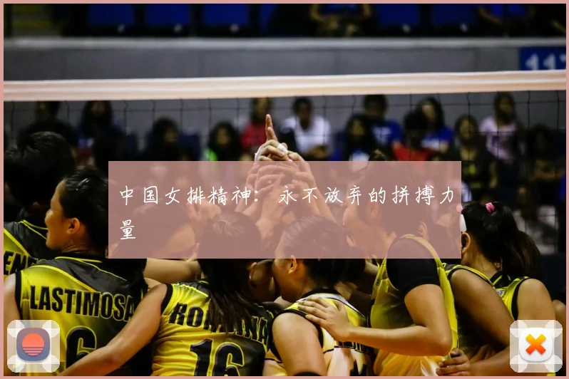 中国女排精神:永不放弃的拼搏力量